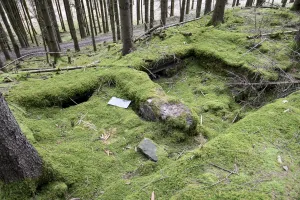 Ligne Maginot - VOEGELSMATT 10 - (Cuve pour arme d'infanterie) - 