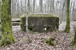 Ligne Maginot - FM25 - VOEGELSMATT 5 - (Blockhaus pour arme infanterie) - 