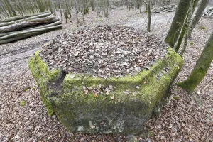 Ligne Maginot - FM25 - VOEGELSMATT 5 - (Blockhaus pour arme infanterie) - 