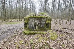 Ligne Maginot - VOEGELSMATT 1 - (Blockhaus pour arme infanterie) - 