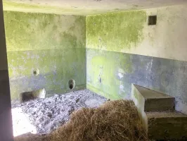 Ligne Maginot - BRUILLE NORD - (Blockhaus pour canon) - Le fond de la chambre de tir
