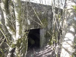 Ligne Maginot - NACHTWEID 6 - (Blockhaus pour arme infanterie) - L'entrée