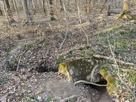 Ligne Maginot - GERSWEILER WALD - SUD 2 - (Abri) - Abri en ruine