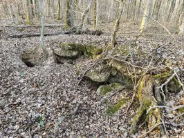 Ligne Maginot - GERSWEILER WALD - SUD 2 - (Abri) - Abri en ruine