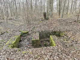 Ligne Maginot - GERSWEILER SUD 1 - (Blockhaus de type indéterminé) - Rare partie presque intacte