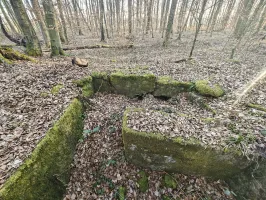 Ligne Maginot - GERSWEILER SUD 1 - (Blockhaus de type indéterminé) - Rare partie presque intacte