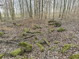 Ligne Maginot - GERSWEILER SUD 1 - (Blockhaus de type indéterminé) - Le reste n'est qu'un amas de ruines