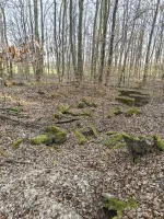 Ligne Maginot - GERSWEILER SUD 1 - (Blockhaus de type indéterminé) - Le reste n'est qu'un amas de ruines