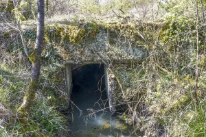 Ligne Maginot - BAN SAINT JEAN - (Abri) - Entrée Est