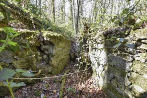 Ligne Maginot - GROS BOIS (160° RIF) - (PC de Sous-Secteur) - La tranchée effondrée