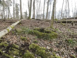 Ligne Maginot - KOENIGSBRUCK NORD 1 - (Cuve pour arme d'infanterie) - 