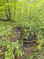 Ligne Maginot - NONNENWALD 12 - (Blockhaus de type indéterminé) - 