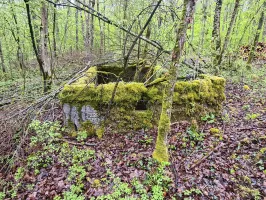 Ligne Maginot - NONNENWALD 11TER - (Blockhaus de type indéterminé) - 