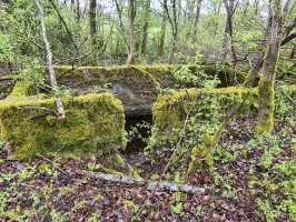 Ligne Maginot - NONNENWALD 11TER - (Blockhaus de type indéterminé) - 