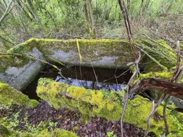 Ligne Maginot - NONNENWALD 11TER - (Blockhaus de type indéterminé) - 