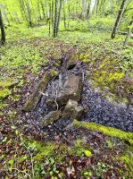 Ligne Maginot - NONNENWALD 13 - (Blockhaus de type indéterminé) - 