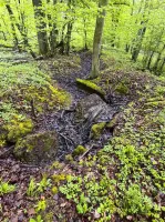 Ligne Maginot - NONNENWALD 13 - (Blockhaus de type indéterminé) - 