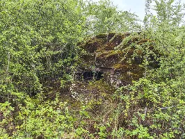 Ligne Maginot - NONNENWALD 5 - (Blockhaus pour arme infanterie) - 