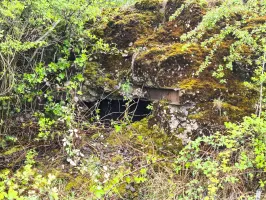 Ligne Maginot - NONNENWALD 5 - (Blockhaus pour arme infanterie) - 