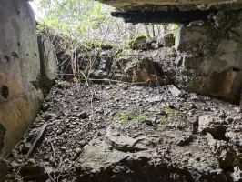 Ligne Maginot - NONNENWALD 5 - (Blockhaus pour arme infanterie) - 