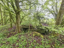 Ligne Maginot - NONNENWALD 3 - (Blockhaus de type indéterminé) - 