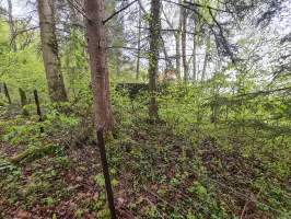 Ligne Maginot - NONNENWALD 2 - (Blockhaus pour arme infanterie) - 