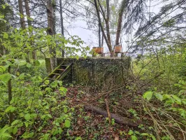 Ligne Maginot - NONNENWALD 2 - (Blockhaus pour arme infanterie) - 