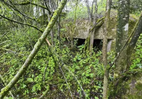 Ligne Maginot - KALKOFEN 3 - (Blockhaus pour arme infanterie) - 
