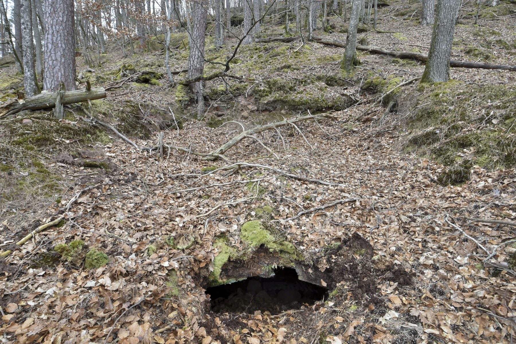 Ligne Maginot - FALKENBERG - COTE 263 (2°BON - 154°RIF) - (PC de Quartier) - 