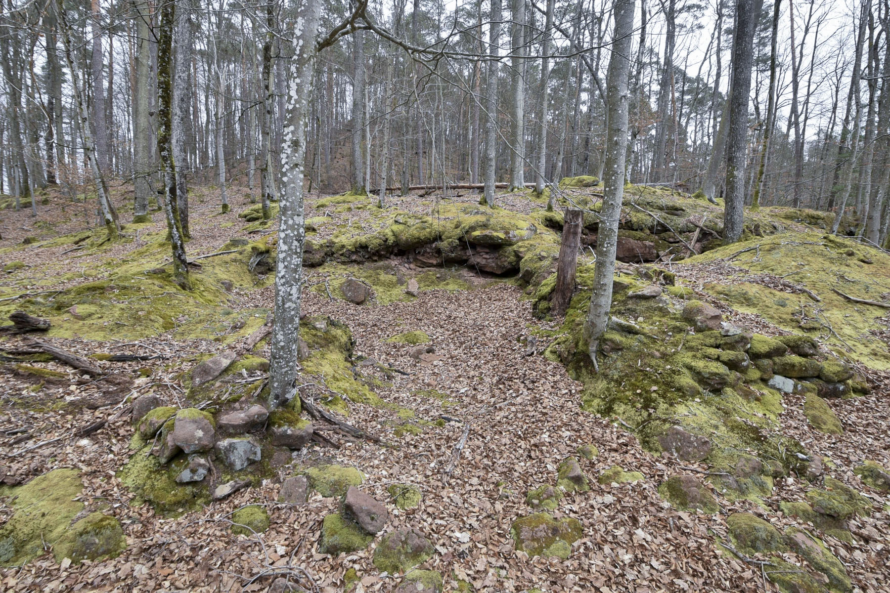 Ligne Maginot - FALKENBERG - COTE 263 (2°BON - 154°RIF) - (PC de Quartier) - 