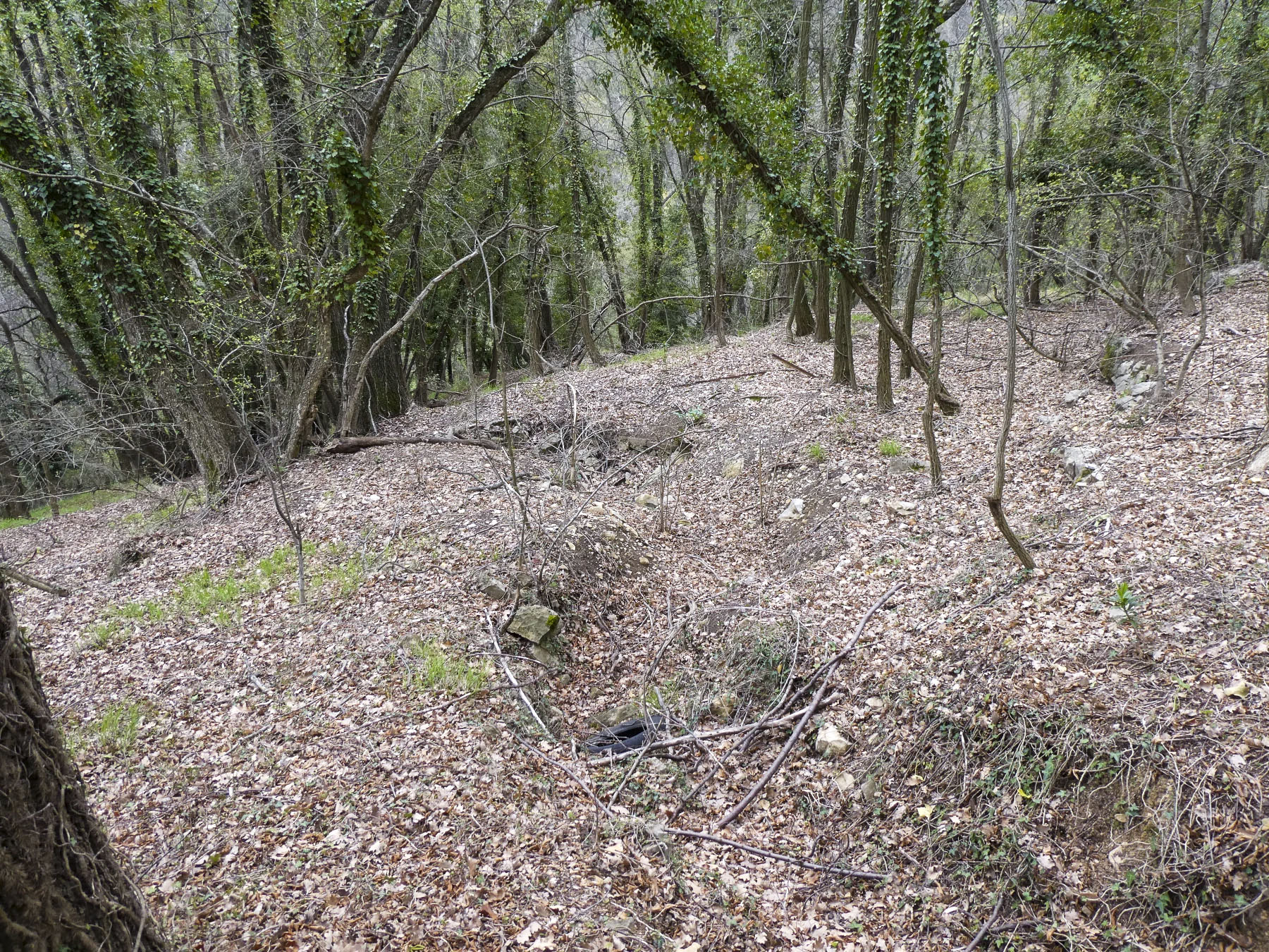 Ligne Maginot - BARBONNET 5 - (Cuve pour arme d'infanterie) - La tranchée d'accès.