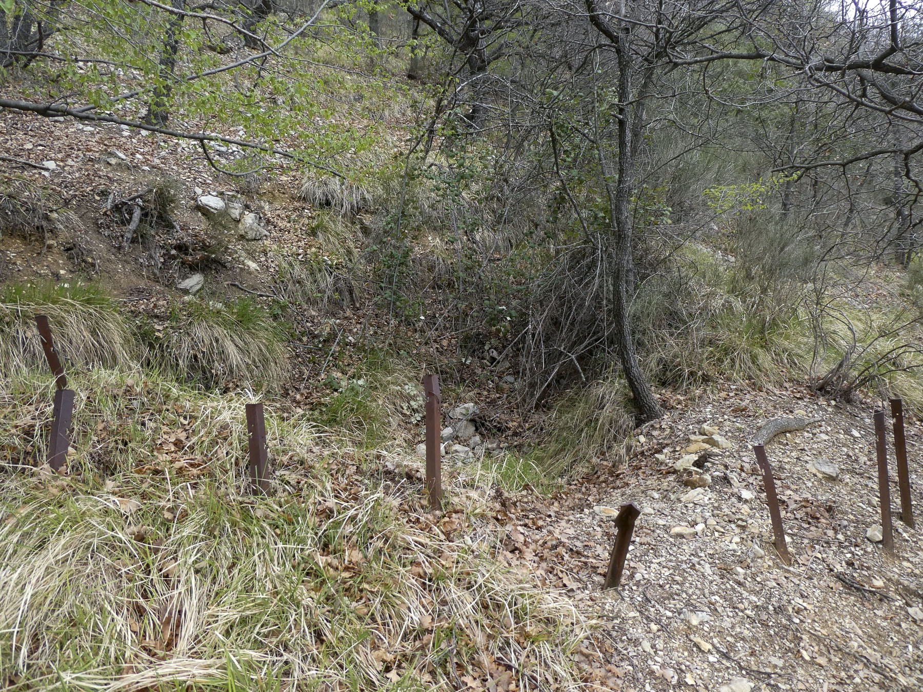 Ligne Maginot - BARBONNET 5 - (Cuve pour arme d'infanterie) - Environnement
Cuve 2