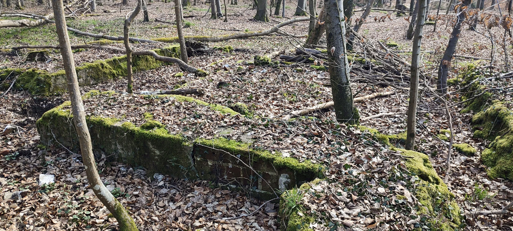 Ligne Maginot - GRUENDEL 2 - (Blockhaus de type indéterminé) - Restes de la structure