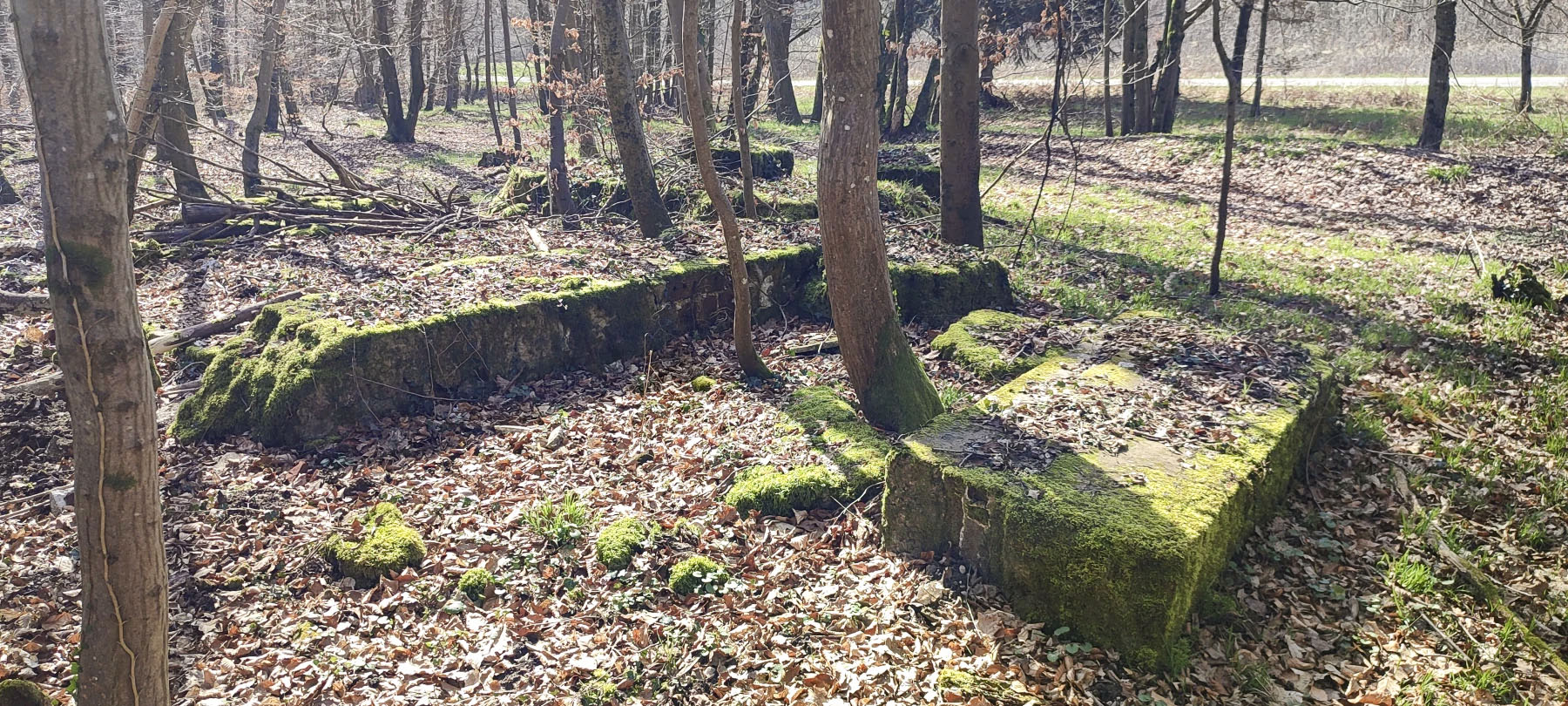 Ligne Maginot - GRUENDEL 2 - (Blockhaus de type indéterminé) - Reste de la structure