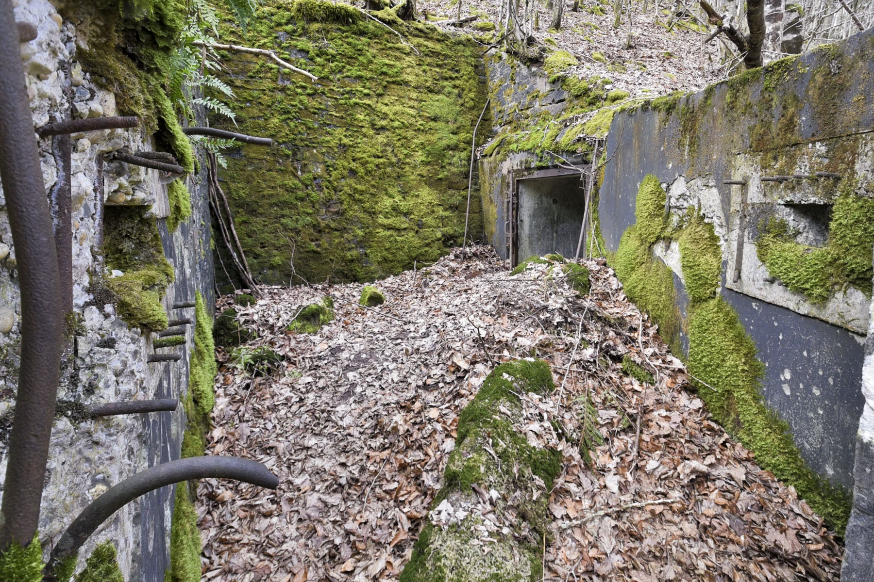 Ligne Maginot - WEIHERSTHAL SUD - (Blockhaus pour canon) - 