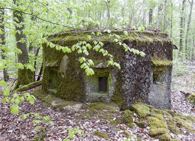Ligne Maginot - FM20 - VOEGELSMATT 7 - (Blockhaus pour arme infanterie) - 