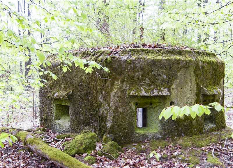 Ligne Maginot - FM20 - VOEGELSMATT 7 - (Blockhaus pour arme infanterie) - 