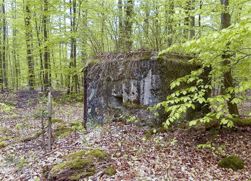 Ligne Maginot - FM20 - VOEGELSMATT 7 - (Blockhaus pour arme infanterie) - 
