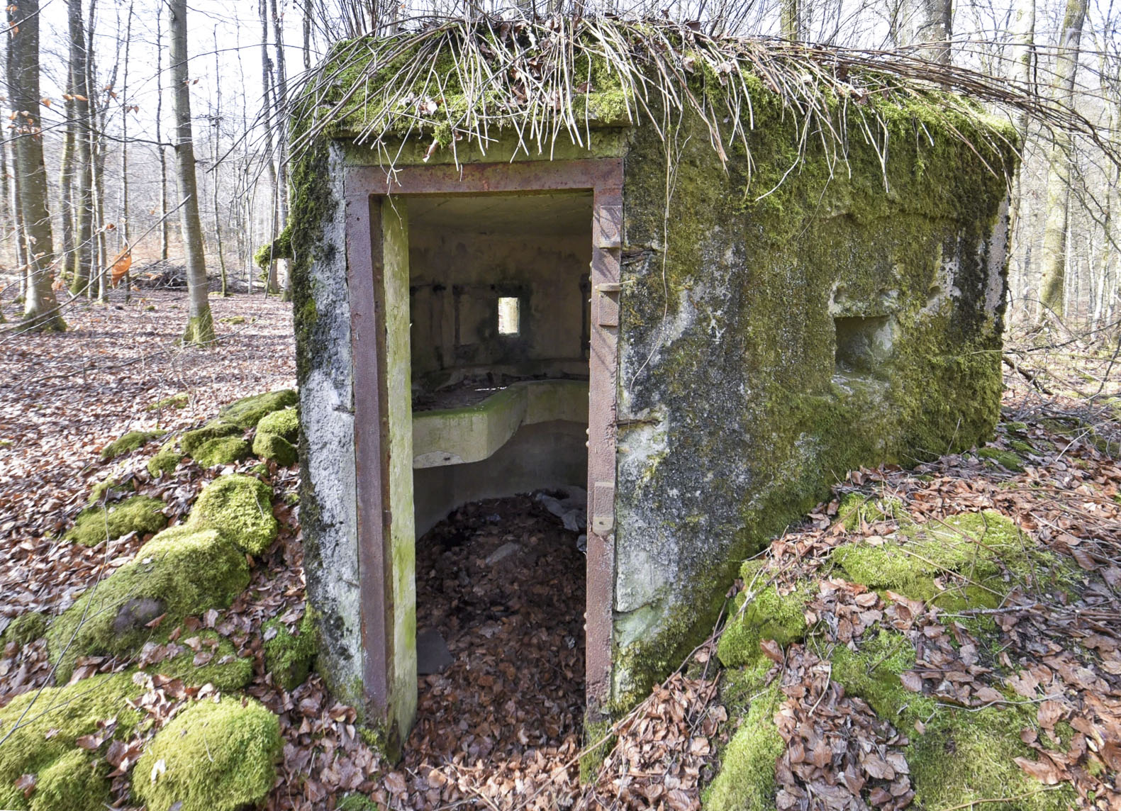 Ligne Maginot - FM20 - VOEGELSMATT 7 - (Blockhaus pour arme infanterie) - 