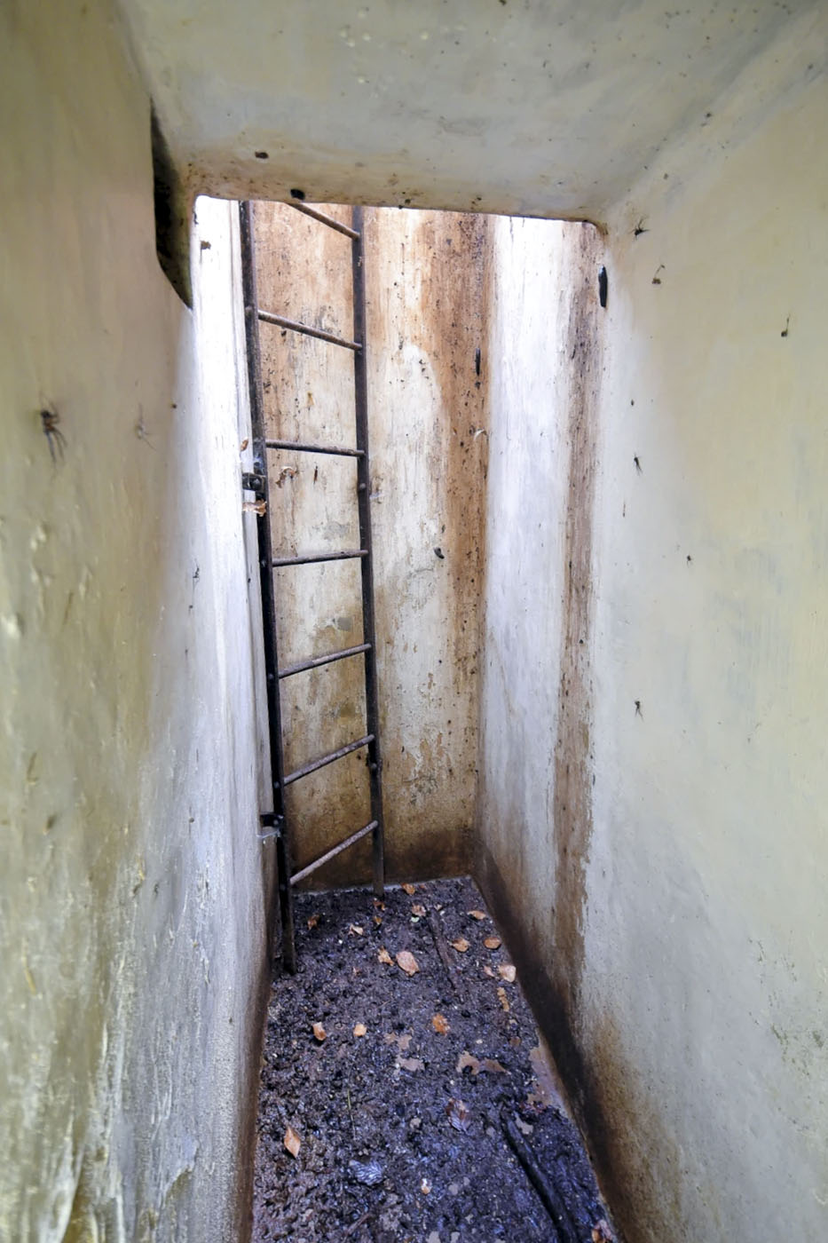 Ligne Maginot - DF10 - (Chambre de coupure) - 