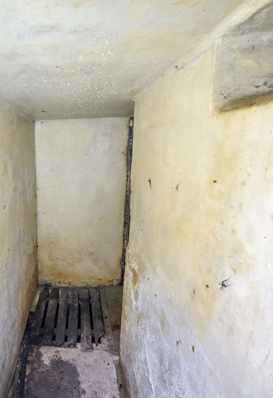 Ligne Maginot - DF10 - (Chambre de coupure) - 
