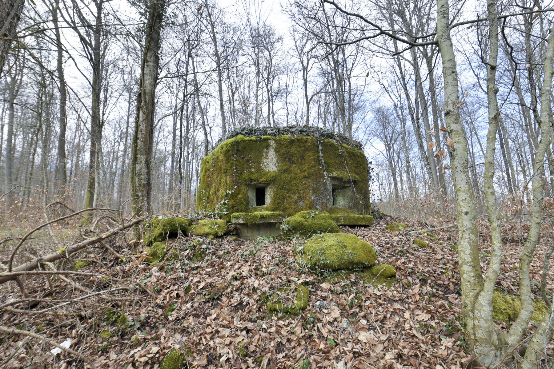 Ligne Maginot - FM18 - ROUTE DE LA VERRERIE 3 - (Blockhaus pour arme infanterie) - 