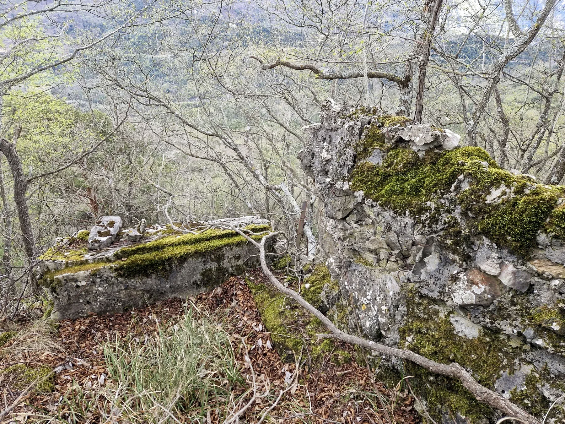 Ligne Maginot - COL DE SEGRA NORD 2 - (Blockhaus pour arme infanterie) - 
