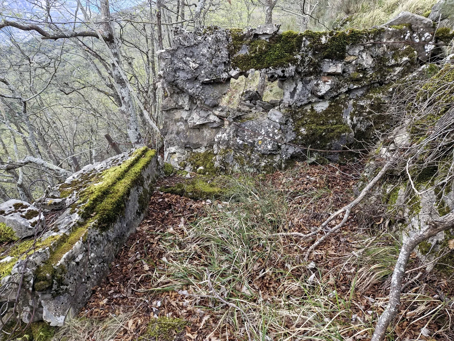 Ligne Maginot - COL DE SEGRA NORD 2 - (Blockhaus pour arme infanterie) - 