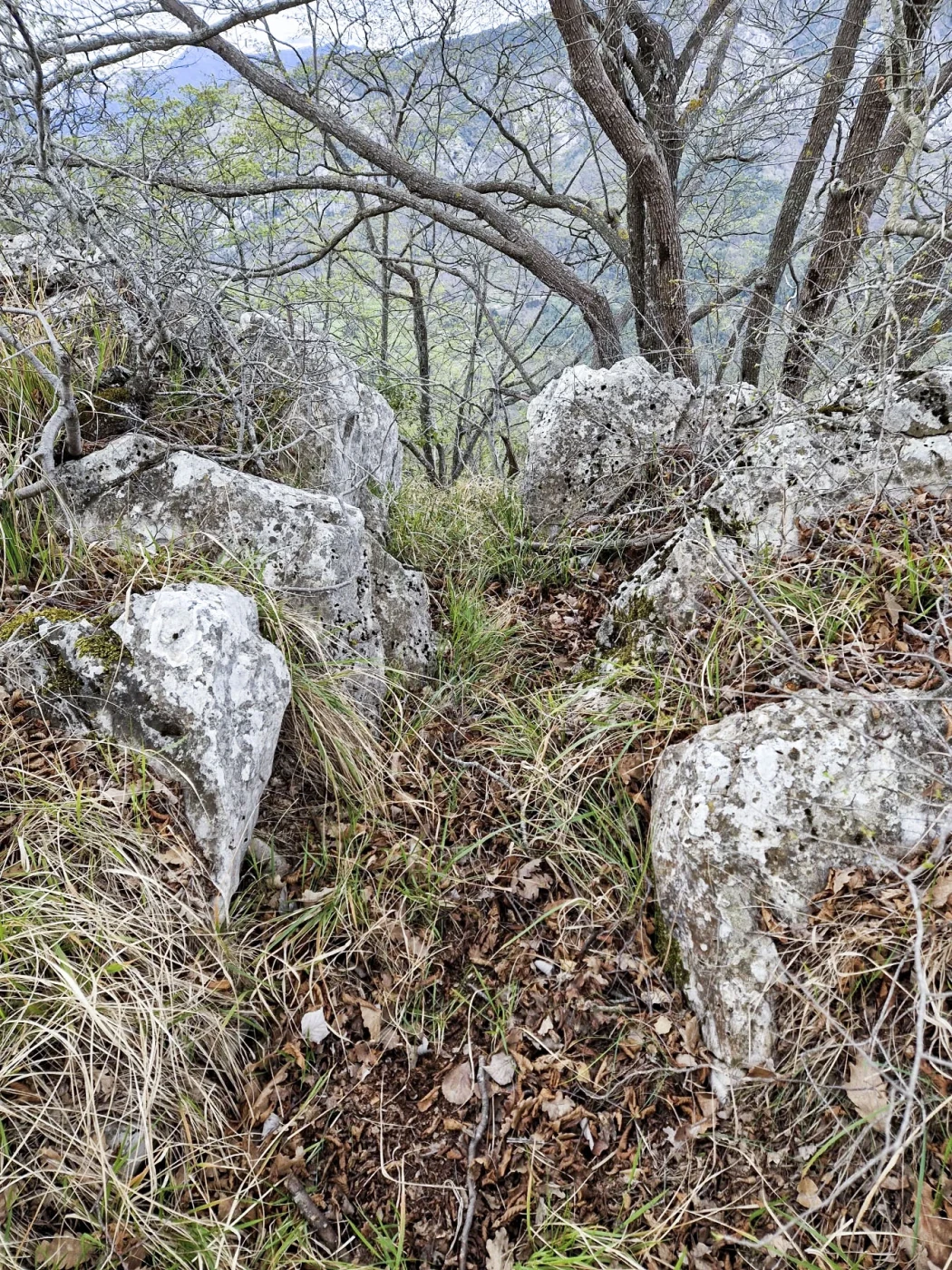 Ligne Maginot - COL DE SEGRA NORD 2 - (Blockhaus pour arme infanterie) - Accès au blockhaus.