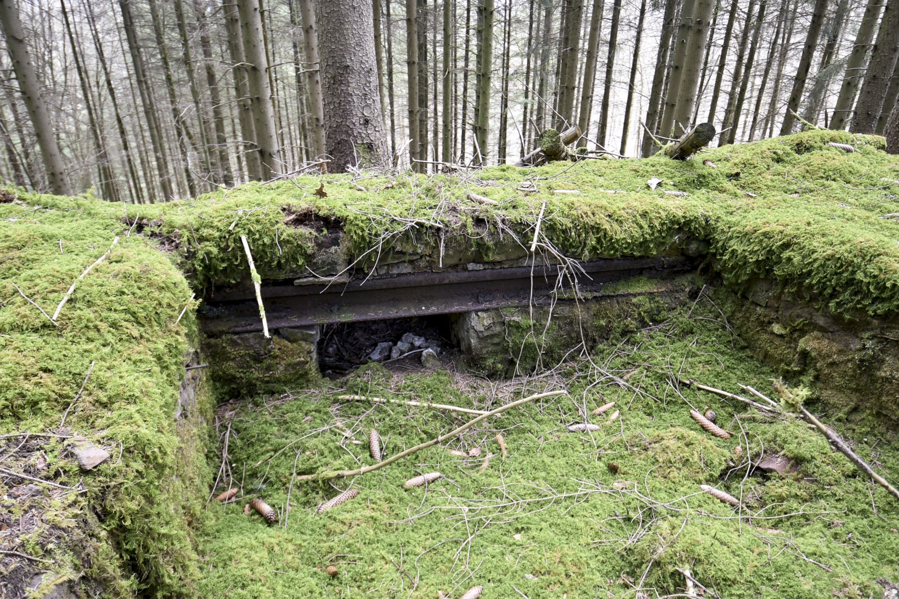 Ligne Maginot - VOEGELSMATT 10 - (Cuve pour arme d'infanterie) - 