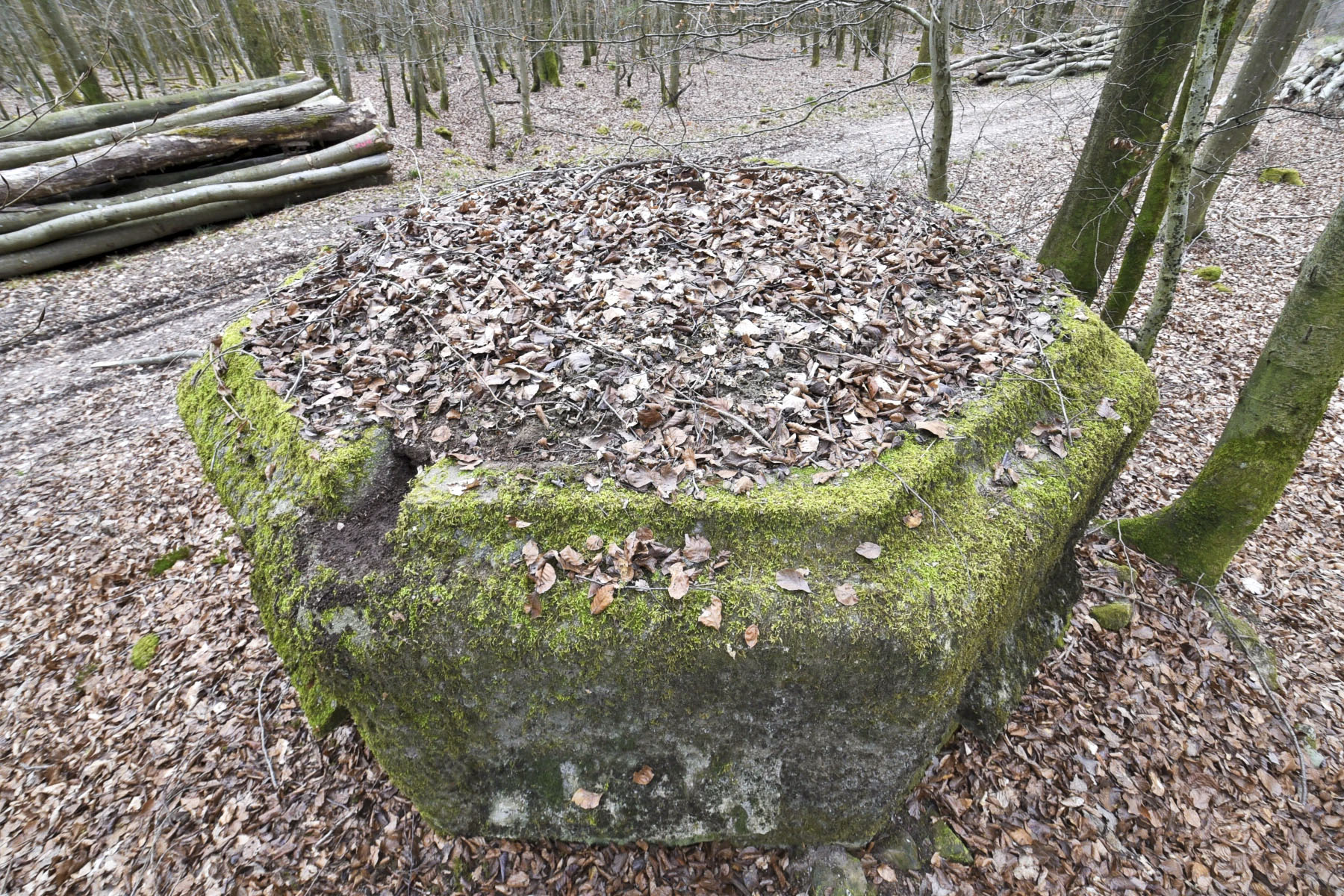 Ligne Maginot - FM25 - VOEGELSMATT 5 - (Blockhaus pour arme infanterie) - 