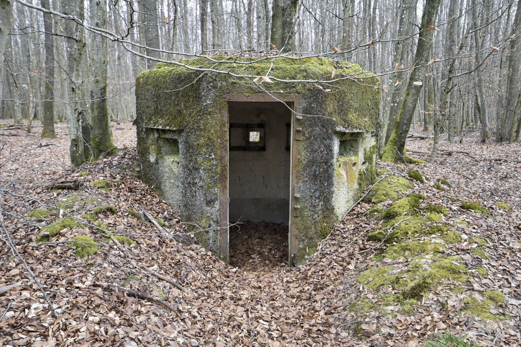 Ligne Maginot - FM25 - VOEGELSMATT 5 - (Blockhaus pour arme infanterie) - 