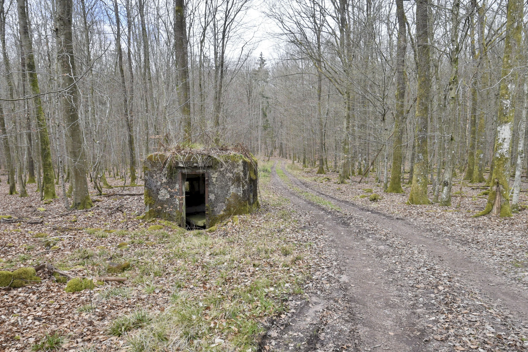 Ligne Maginot - VOEGELSMATT 1 - (Blockhaus pour arme infanterie) - 