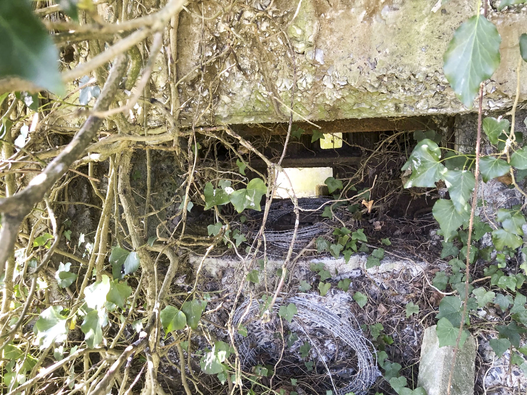 Ligne Maginot - BRUILLE NORD - (Blockhaus pour canon) - Sous la végétation, le créneau de tir